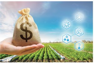 Agriculture 4.0: Unlocking New Value from Agritech Investment 