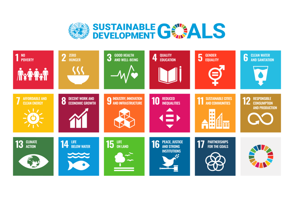 A grid illustration of the UN's Sustainable Development Goals